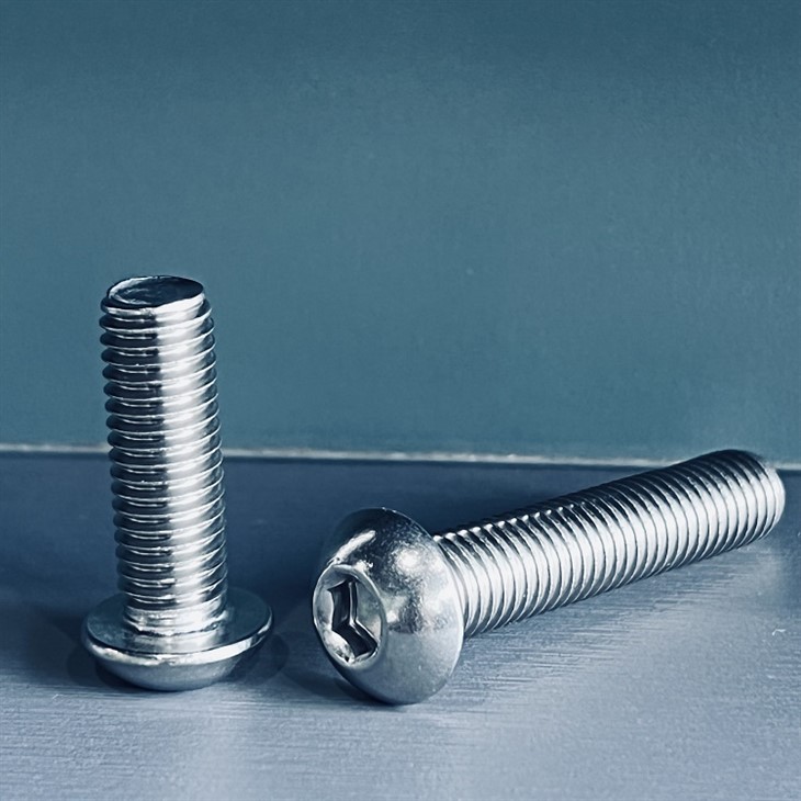 SS ISO7380 ROUND SOCKET HEAD BOLT