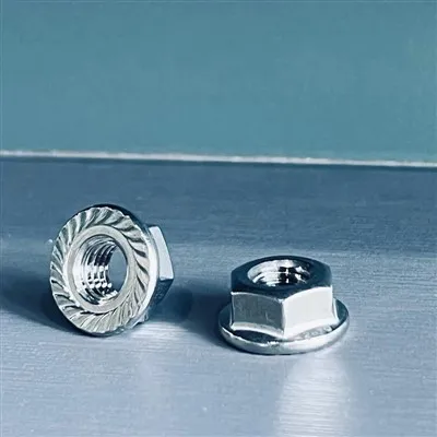 Tuerca con brida hexagonal SS