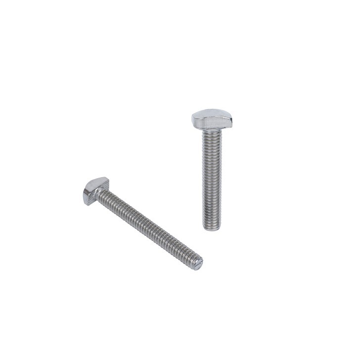 Stainless Steel Hammer Bolt T- Bolt